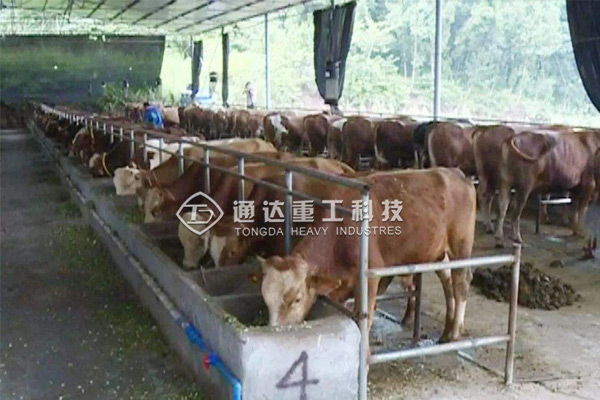  年產(chǎn)5000噸粉狀牛糞有機(jī)肥生產(chǎn)線什么價(jià)格?投資多少錢成本?