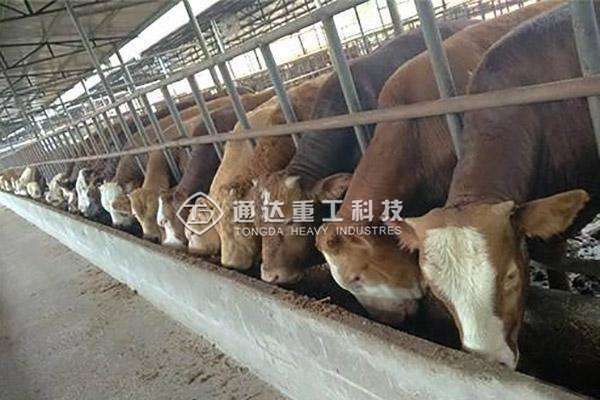  年產(chǎn)5000噸粉狀牛糞有機(jī)肥生產(chǎn)線什么價(jià)格?投資多少錢成本?