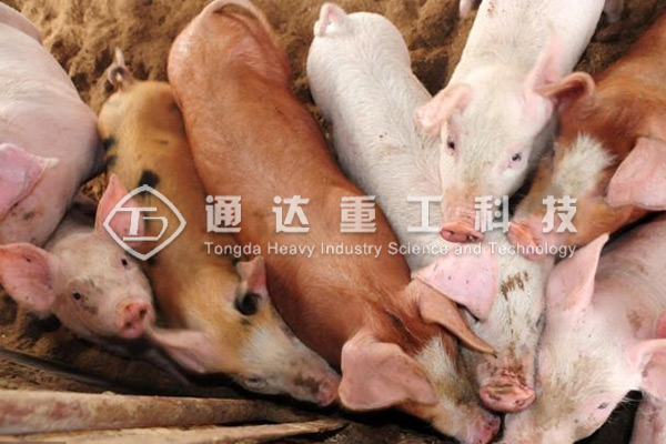  養(yǎng)豬場豬糞處理加工成有機肥投資成本多少?整條有機肥生產(chǎn)線回報利潤有多少?