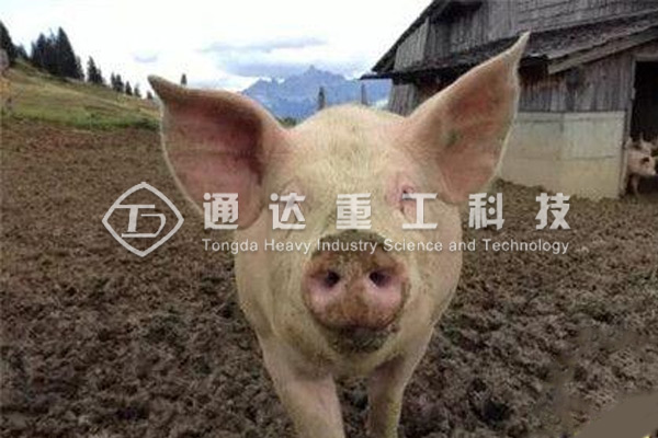  養(yǎng)殖場(chǎng)糞污處理，低成本有機(jī)肥生產(chǎn)線方案
