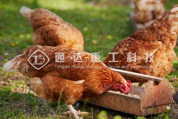 雞糞制肥機(jī)械設(shè)備廠(chǎng)