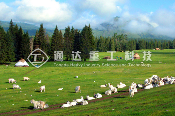 內(nèi)蒙古臨河10萬噸羊糞有機肥生產(chǎn)線價格多少錢?哪個廠家好?